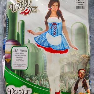 Dorothy the wizard of oz costume